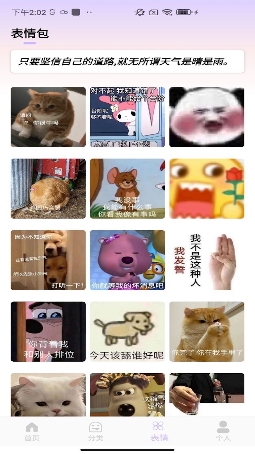 皮皮动态壁纸截图4