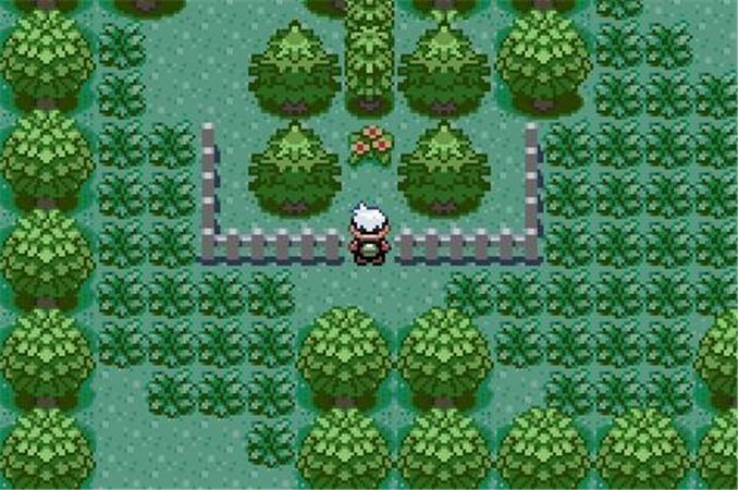 口袋妖怪火红第6个徽章在哪