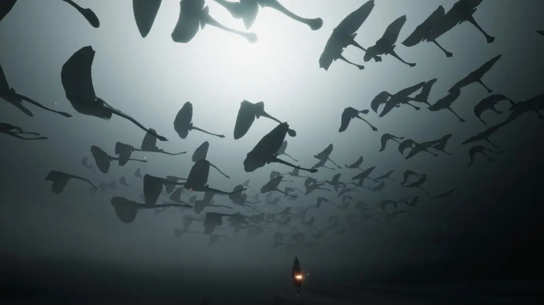 光遇怎么背对着双手击掌