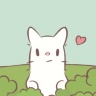 猫咪治愈包