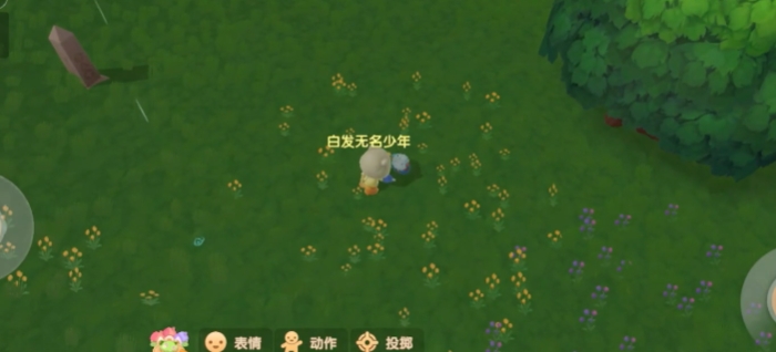 摩尔庄园手游毛毛菇怎么得