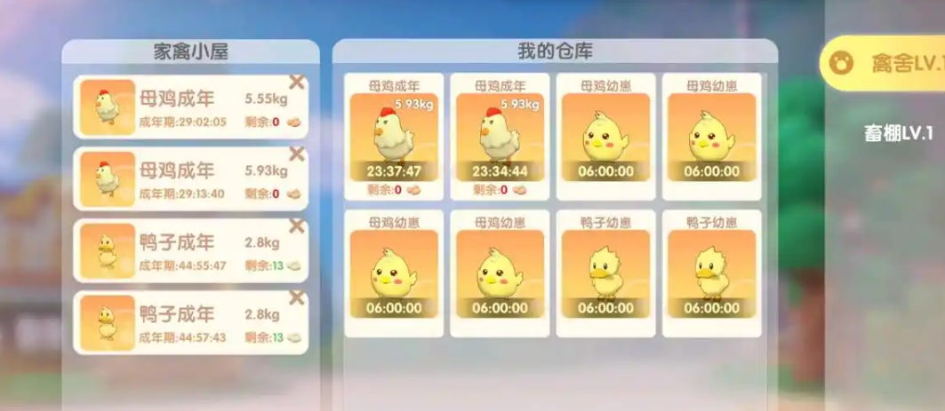摩尔庄园手游怎么增加母鸡好感度