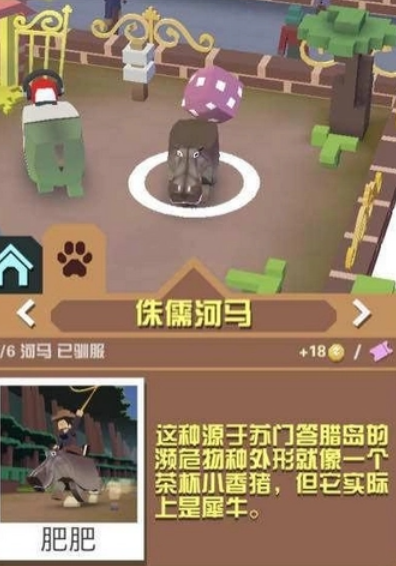 疯狂动物园山脉濒危动物怎么抓