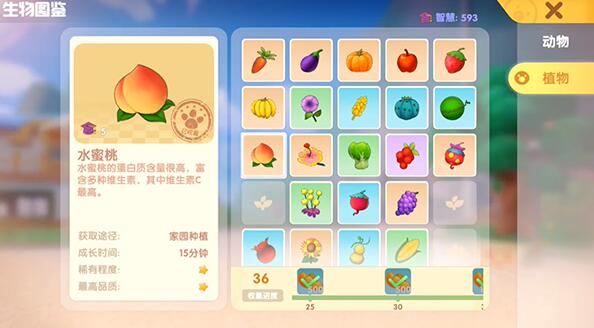 摩尔庄园缤纷币怎么得