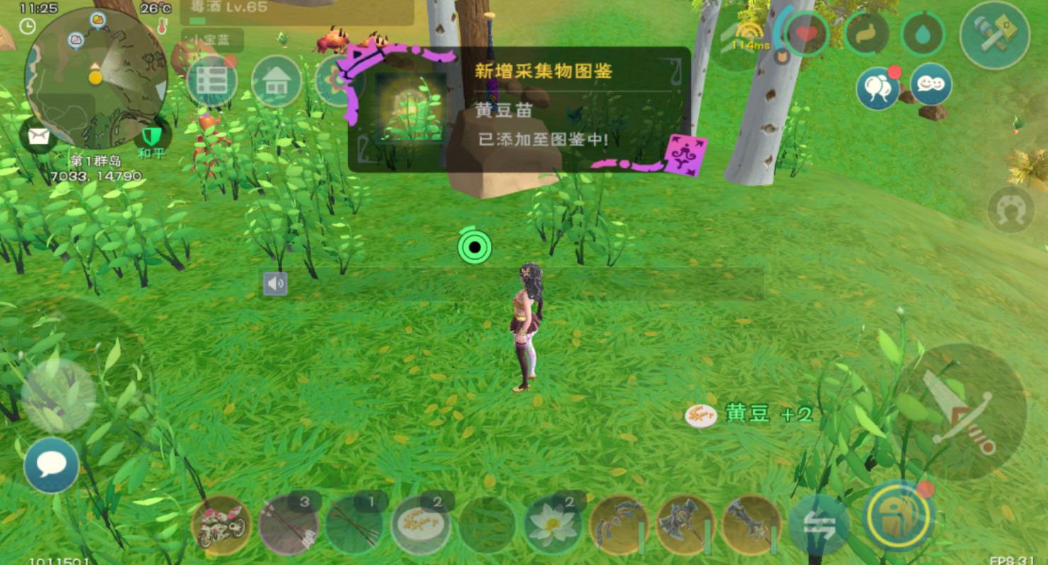 创造与魔法黄豆在哪