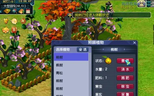 梦幻西游花草种植需要什么