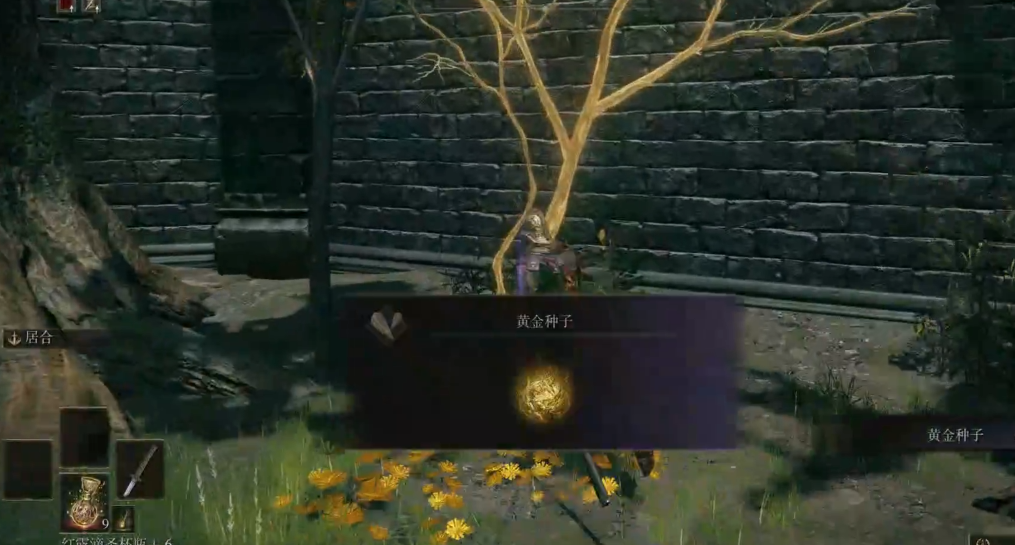 艾尔登法环新手流程是什么