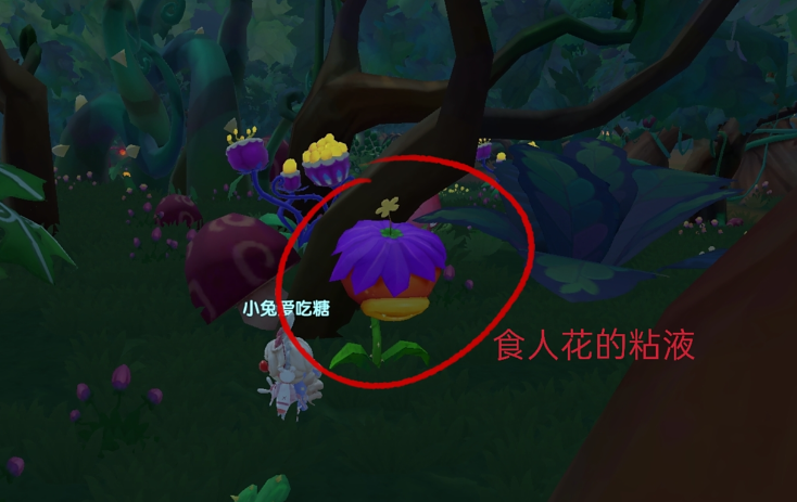 摩尔庄园黑森林怎么提高生命值 摩尔庄园黑森林怎么提高生命值