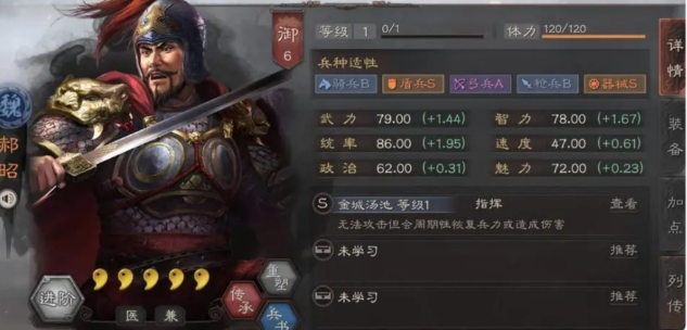 三国志战略版郝昭带什么输出