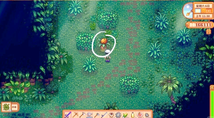 星露谷物语金核桃怎么全部收集