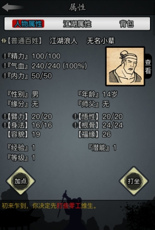 放置江湖完美开局属性怎么加点