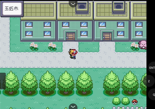 口袋妖怪火红代币盒在哪