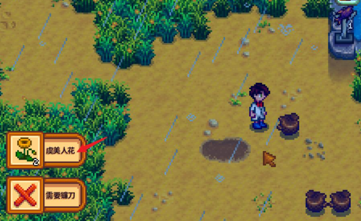 星露谷物语花怎么获得