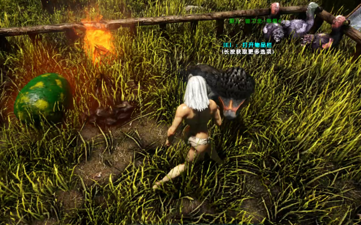 方舟生存进化镰刀龙驯养吃什么