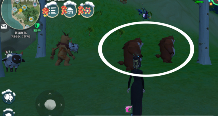 创造与魔法哪里有熊