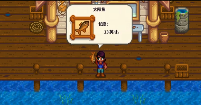 星露谷物语中太阳鱼在哪里钓