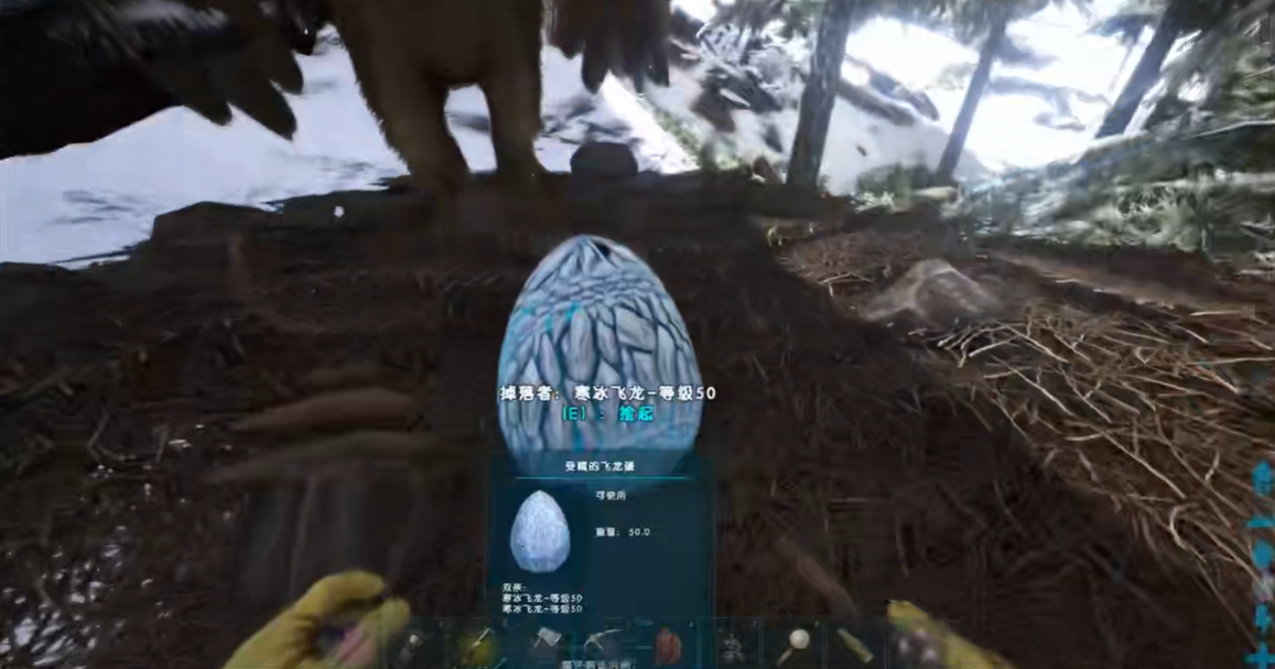 方舟生存进化仙境龙蛋在哪里