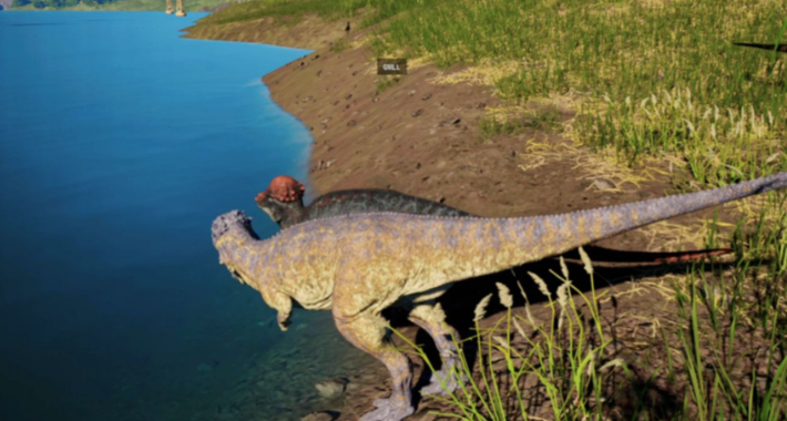 恐龙岛怎么样升级快