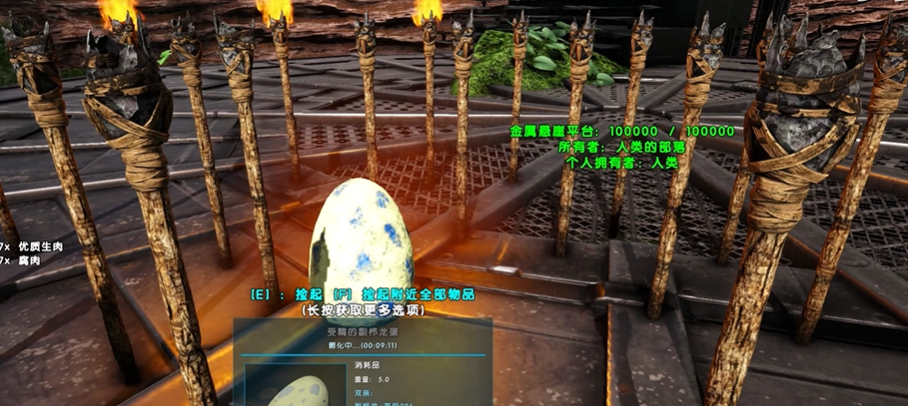 方舟生存进化中如何孵化龙蛋 方舟生存进化中如何孵化龙蛋