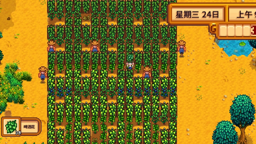 星露谷物语酿酒流夏天种什么